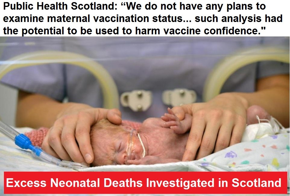 PHS neonatal deaths vaccines ruled out