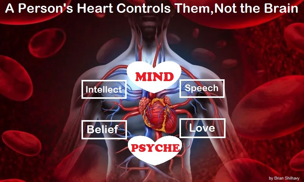 Heart Contols Mind and Thought as well as emotions