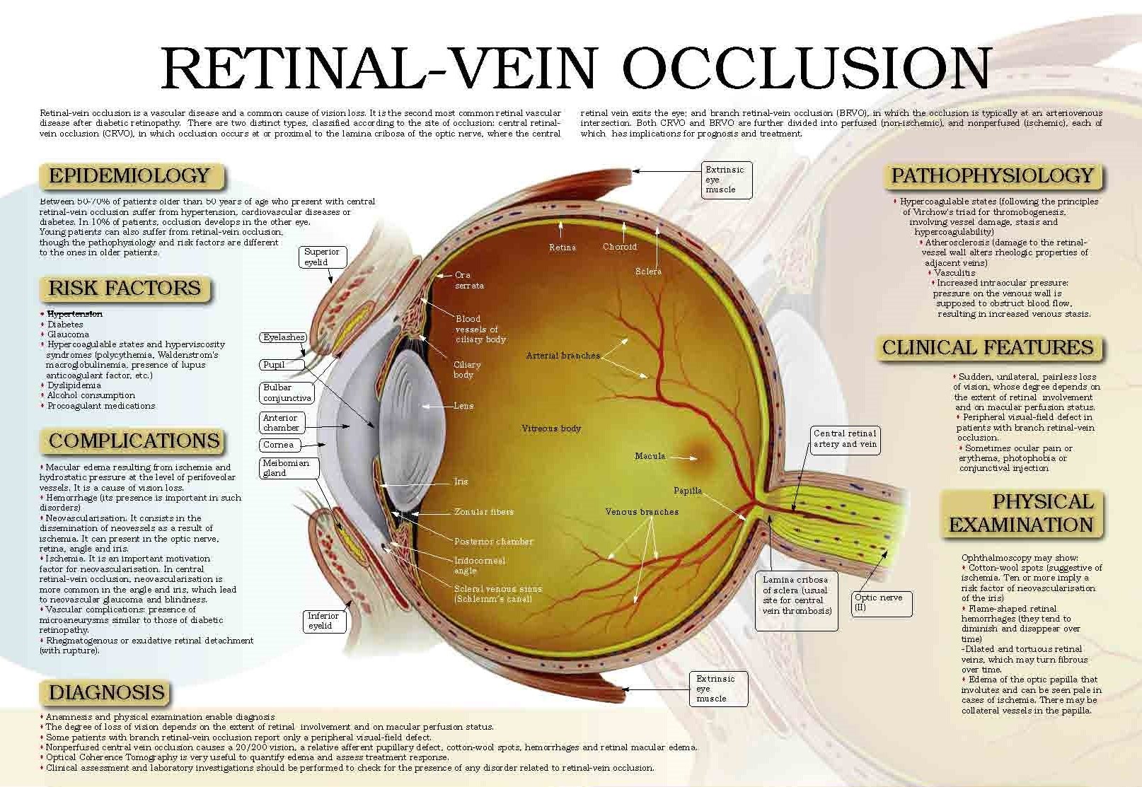 20,000% increase in retinal eye damage after COVID-19 vaccination