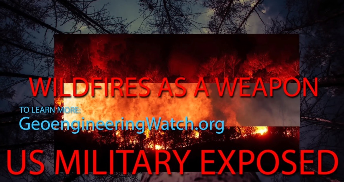 US military history of using forest fires as a weapon