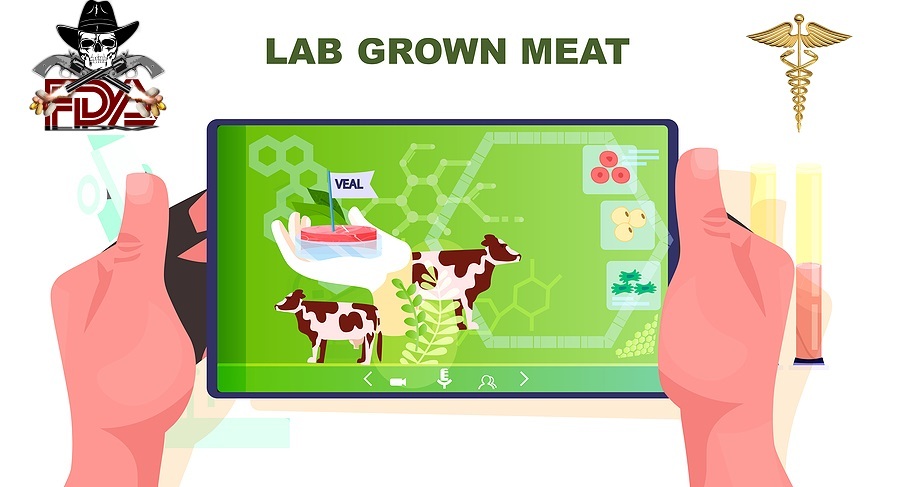 Scientist Analyzing Dna Of Cultured Veal On Tablet Pc Screen Art