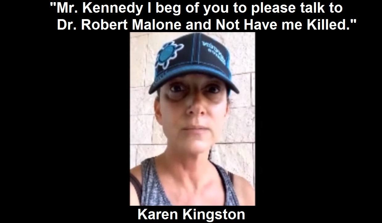 Karen Kingston