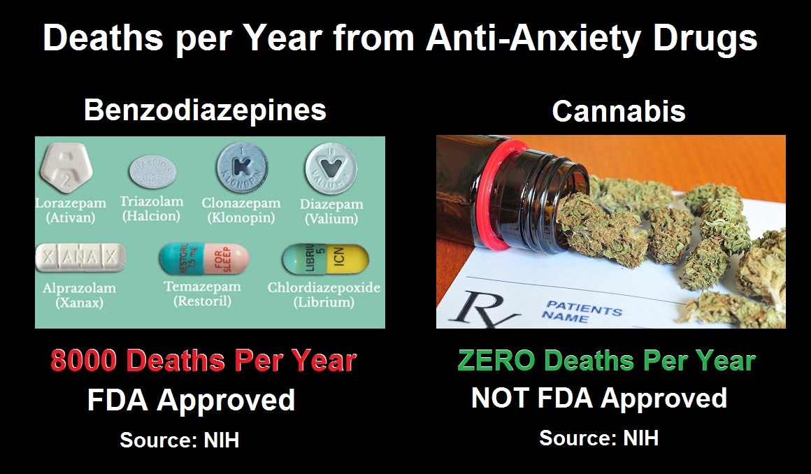 deaths from anti-anxiety drugs