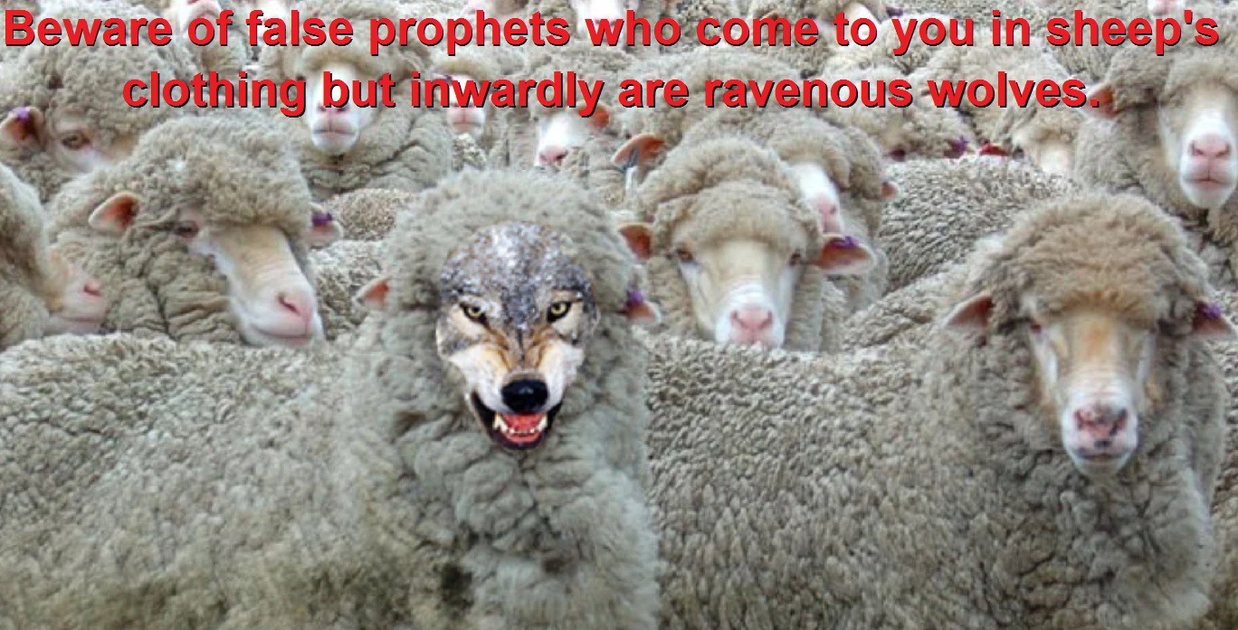wolf in sheeps clothing false prophets