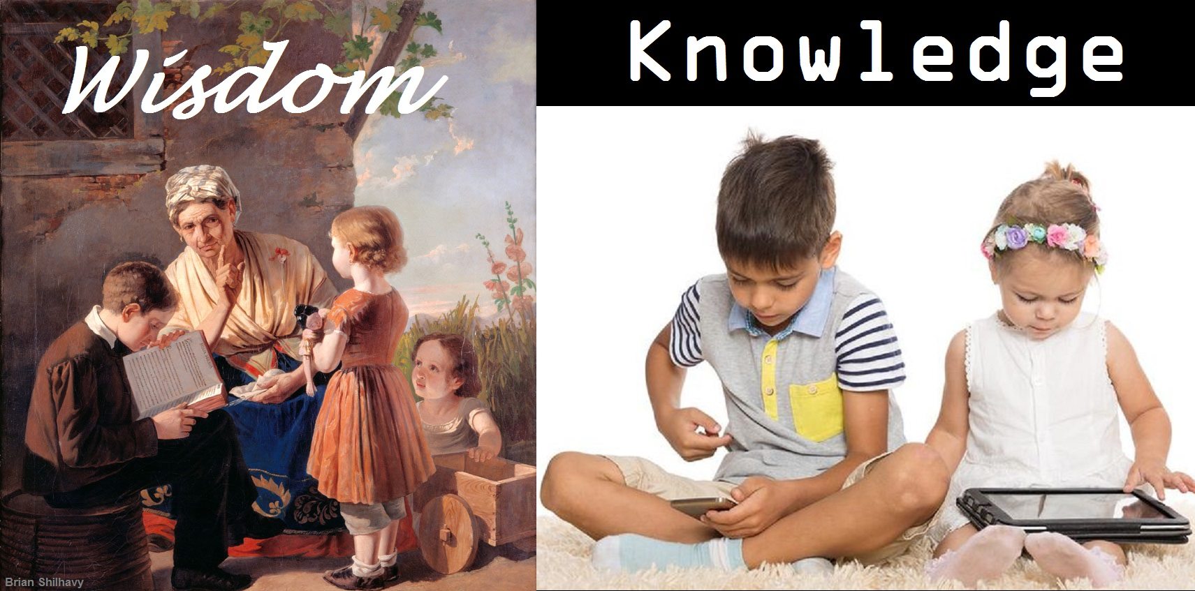Wisdom vs. knowledge 3