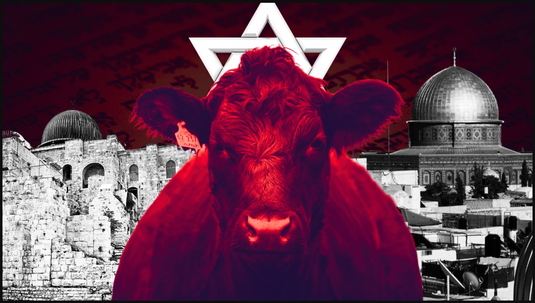 War Breaks Out In The Middle East Beware Of The U S Media One Sided   Red Cow Israel 