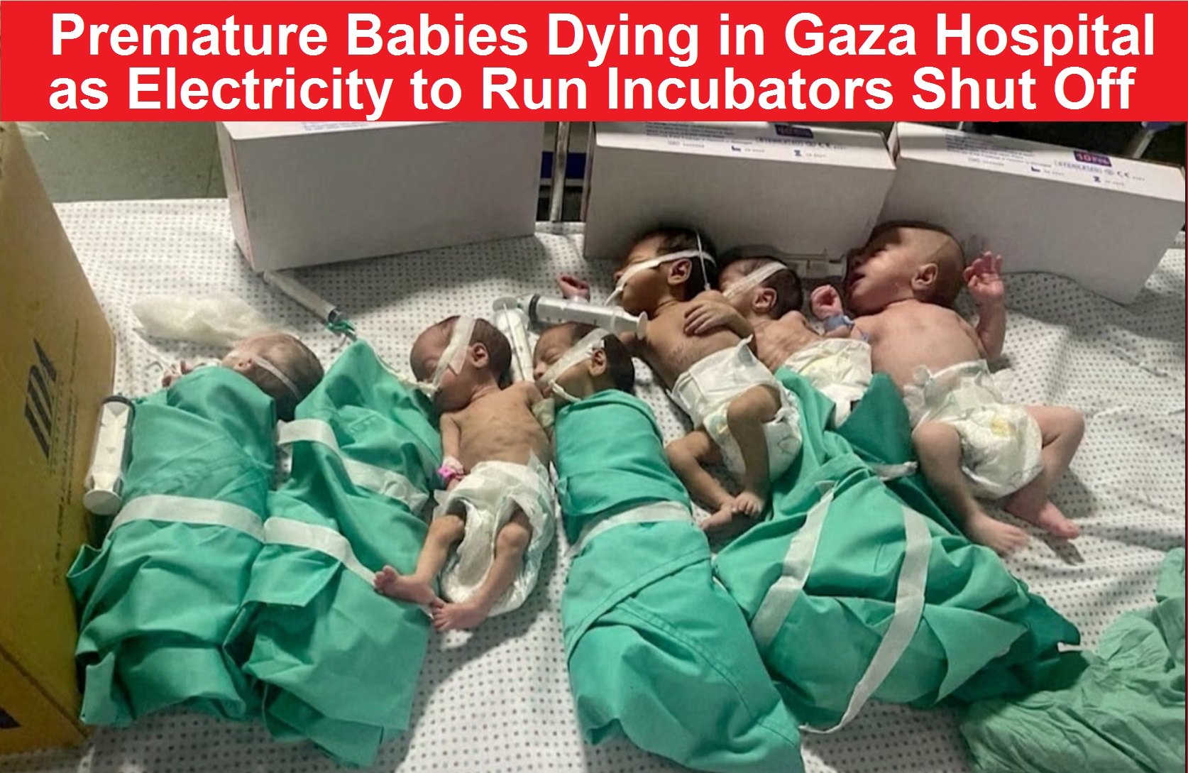 infants in Gaza taken off of incubators are dying