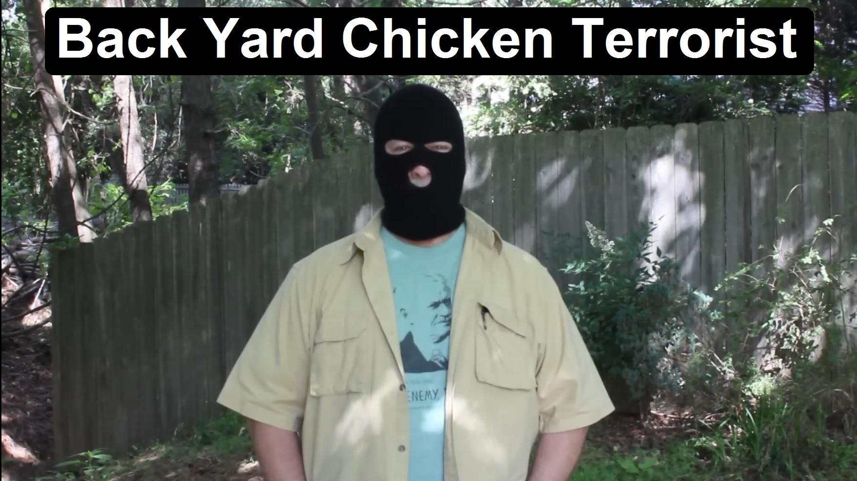 back yard chicken terrorist