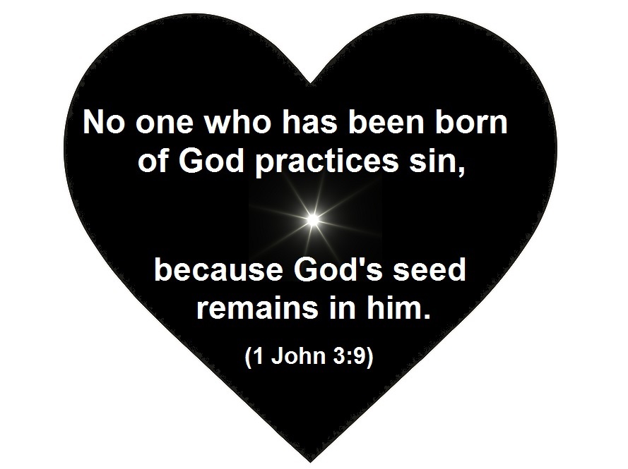 God's Spiritual Seed